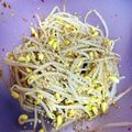 悠希ちゃんママ's cooksnap of when they made 豆もやしときゅうりのピリ辛ポン酢和え.