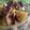 Rosemary Corner's cooksnap of when they made コウイカのバター炒め.