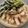 Moggieneko's cooksnap of when they made 米粉天ぷら衣.