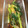 コバミツ's cooksnap of when they made めんつゆだけ♪簡単！小松菜のおひたし.