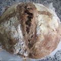 Galletita's cooksnap of when they made 自家製酵母のカンパーニュ♪　ストレート法.