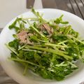 おと♪♪'s cooksnap of when they made カイワレとツナだけ☆簡単サラダ.