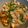 tsurumaru5's cooksnap of when they made 茄子とピーマンと鶏むね肉の味噌炒め！.