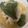 しきままーーーん's cooksnap of when they made 小松菜が主役☆ザクザクぶっかけガーリック.