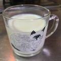 ゆかりんご117♪'s cooksnap of when they made カルシウム×乳酸菌♪カルピス牛乳♪.
