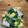 Sirokuro2207's cooksnap of when they made ほうれん草とハムとコーンのマヨぽんサラダ.