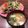 こつゆ514's cooksnap of when they made しめじと油揚げの簡単お味噌汁。.