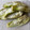 ピンキーももこ's cooksnap of when they made ナスの大量保存法　レンジで下処理＆冷凍.