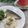 クックHG9V8Y☆'s cooksnap of when they made 焼き魚等に☆大根おろしの柚子胡椒和え♬.