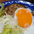 ひだまりポカポカ's cooksnap of when they made ❀黄身がトロッ☆テリヤキ月見ハンバーグ❀.