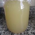 Galletita's cooksnap of when they made ◆りんご酵母液　仕込み（パン）.