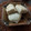 ふか谷's cooksnap of when they made 強力粉でサクふわスコーン(バター不使用).