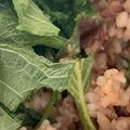 MULA's cooksnap of when they made いわし缶の混ぜご飯.