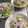 ★なみ☆'s cooksnap of when they made 醤油だれ＆ごまだれ✿基本の冷やし中華✿.