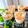 ☆しのＰ☆'s cooksnap of when they made パンナコッタ & 桃ゼリー.