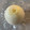 ぬこひめゆき's cooksnap of when they made 新玉ねぎの保存方法.
