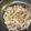 みいしゃblue's cooksnap of when they made しょうが焼き.