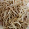 きゅうちゃんひなさん's cooksnap of when they made ダシダで簡単もやしナムル.