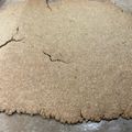 なびろめ's cooksnap of when they made タルト台・ボトムは手作りで！！.