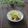 まろんかふぇ's cooksnap of when they made きゅうりと油揚げのカンタン辛子酢味噌あえ.