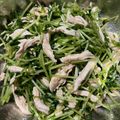 y_u♡'s cooksnap of when they made ♡ささみと豆苗のごまポンサラダ♡.