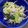 ゆみっき's cooksnap of when they made ツナ小松菜豆苗もやしの和え物.