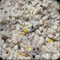 cookஜs's cooksnap of when they made お鍋で♪おいしいご飯の炊き方.
