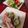 ひっこ's cooksnap of when they made きゅうりとかにかまの酢の物.