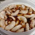 ksy♡'s cooksnap of when they made 目指せ!名古屋★味仙のコブクロ★激辛★.