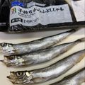 ちゃかぴまま's cooksnap of when they made うちの☆ししゃも・小型魚❣下処理は爪楊枝.