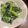 ♪えりりん♪'s cooksnap of when they made 小松菜大量消費！和風ゴマチーズサラダ.