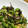菜つ実☆ミ's cooksnap of when they made ゴーヤと茄子と塩昆布サラダ.