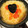 るること's cooksnap of when they made トマトのと小エビのリゾット.
