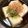 減塩パパ's cooksnap of when they made 簡単　湯豆腐.