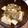 machan37's cooksnap of when they made 定番おいしい麻婆豆腐.
