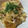 aki☆'s cooksnap of when they made 卵とろ～りのカツ丼（カツ丼やさんの技）.