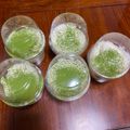 クック25FJ6B☆'s cooksnap of when they made 30分で 簡単 抹茶ティラミス.