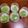 クック25FJ6B☆'s cooksnap of when they made 30分で 簡単 抹茶ティラミス.