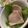 MULA's cooksnap of when they made 塊の豚バラで蒸し豚.