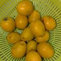 yama_miu's cooksnap of when they made イチゴとか&レタスとかの洗い方.