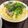 らむちゃんの中の人's cooksnap of when they made アスパラ菜とベーコンのパスタ.