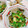 みっちゃん❇️68's cooksnap of when they made オクラと味付けめかぶのとろろ和え.