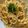 きゃろぽて's cooksnap of when they made ぺぺたま(卵とニンニクのパスタ).