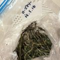 Biss's cooksnap of when they made ローズマリーを冷凍しちゃえ.