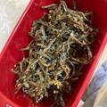 harumiさん's cooksnap of when they made くるみごまめ(食べるいりこの佃煮風).