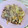 ＊＊めろん＊＊'s cooksnap of when they made 【作り置き・冷凍保存】豚肉のしょうが焼き.