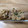 クック84ITMB☆'s cooksnap of when they made 照り焼きチキン〜おろしソースがけ〜.