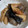 クックGT06PS☆'s cooksnap of when they made 炒めてこくうま*筍の煮物*.