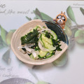 みかかめ's cooksnap of when they made 簡単！韓国風！きゅうりとわかめのサラダ！.