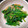 Hiりんっこ's cooksnap of when they made 簡単＆美味！ほうれん草となめこの煮びたし.